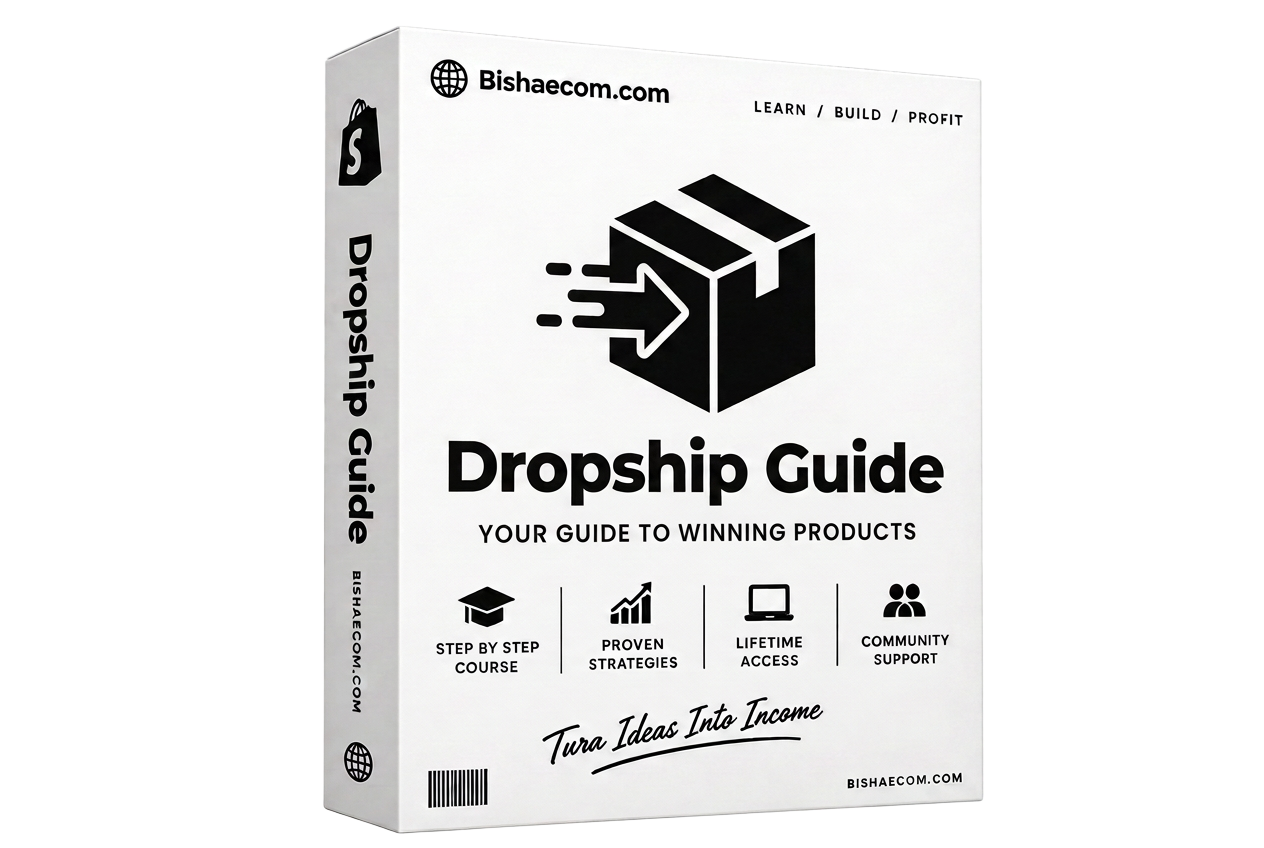 Dropship Guide cover